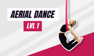 www - aerial dance lvl 1- course cover